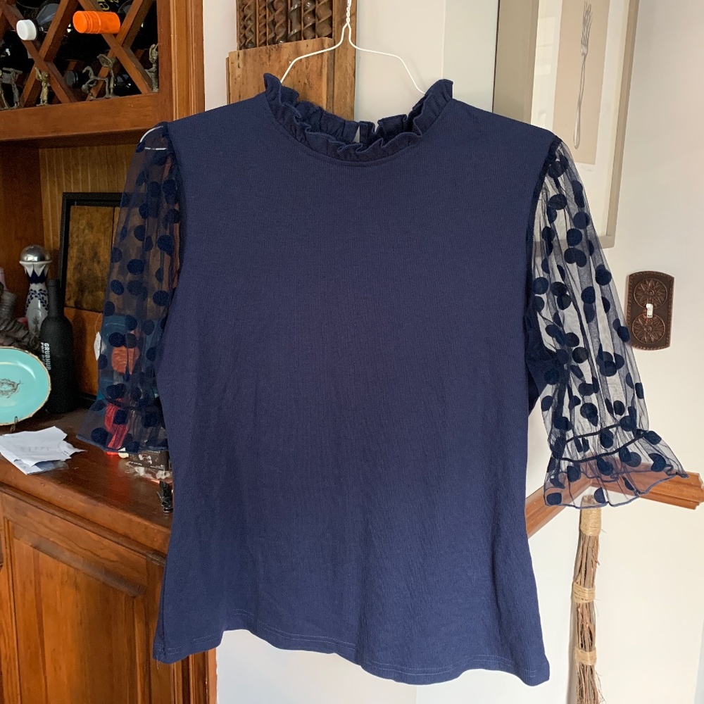 Plus size tulle polka dot sleeve ruffle neck‎ top. Worn twice.